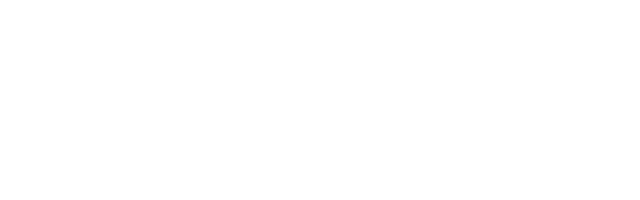 Electroschutz